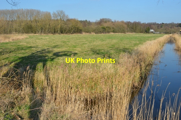 Photo 6"x4" St Olaves Shadow St Olaves c2012
