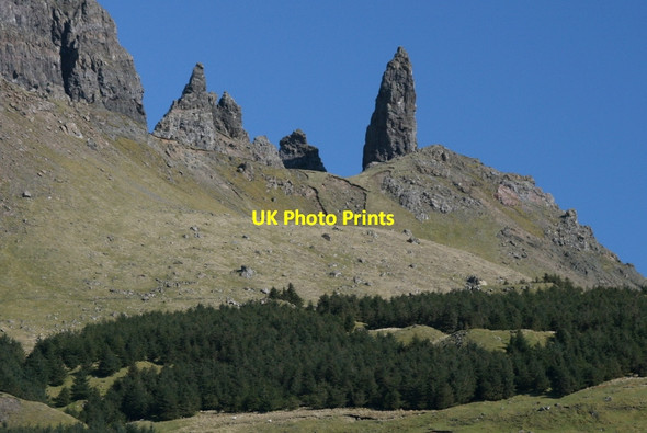 Photo 6"x4" The Old Man overlooks the conifers at the Storr Old Man of Storr c2012