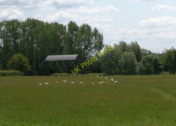 Photo 6"x4" Sheep pasture and barn Longdon Hill End c2008