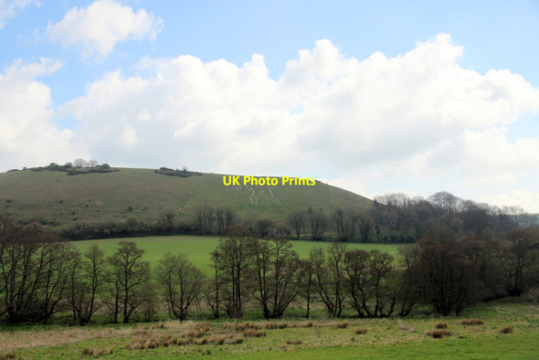 Photo 6"x4" The Giant, Cerne Abbas, Dorset Cerne Abbas c2012