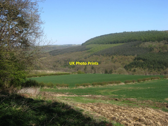 Photo 6"x4" Troutsdale view Trouts Dale c2012