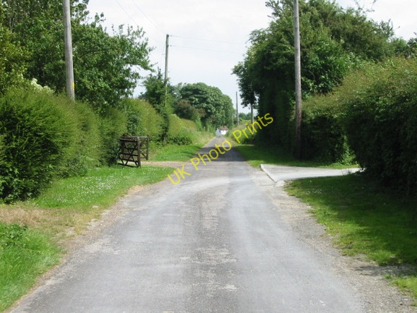 Photo 6"x4" View along Fox Holt Road Swingfield Minnis c2008