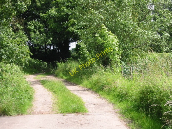 Photo 6"x4" Footpath from the end of Fox Holt Road Swingfield Minnis c2008