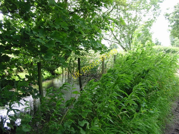 Photo 6"x4" A small pond at the end of Fox Holt Road Swingfield Minnis c2008