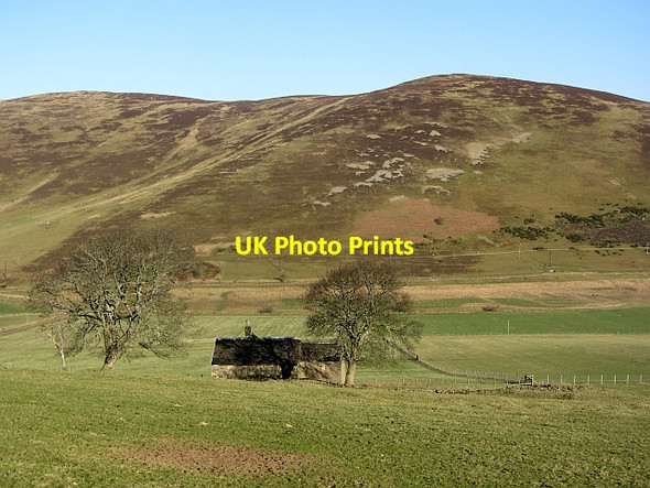 Photo 6"x4" The Raw Mitchell Hill\/NT0633 c2012