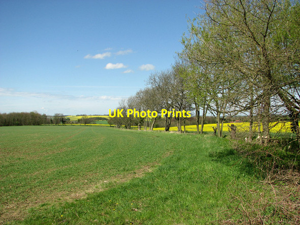 Photo 6"x4" Field boundary west of Littly Wood, Ousden Ousden c2012