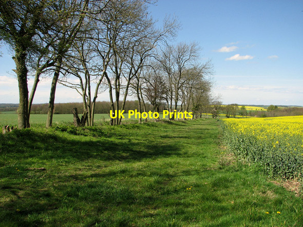 Photo 6"x4" Fields west of Littly Wood, Ousden Ousden c2012
