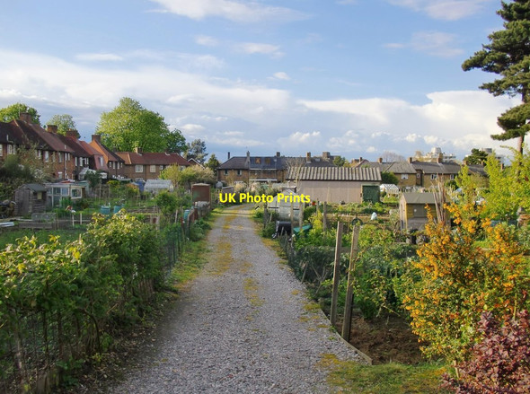 Photo 6"x4" Allotments, The Pleasance Barnes c2012