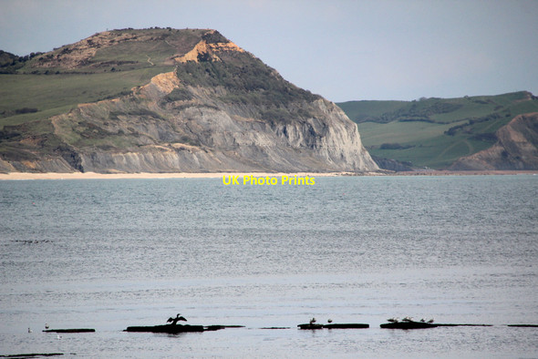 Photo 6"x4" Golden Cap as seen from Lyme Regis, Dorset Lyme Regis c2012