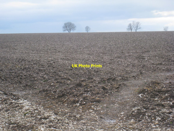 Photo 6"x4" Waiting for spring Normanby le Wold c2012