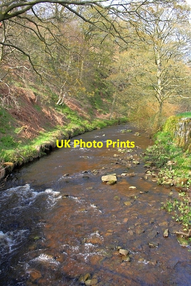 Photo 6"x4" River Dane Allgreave c2012