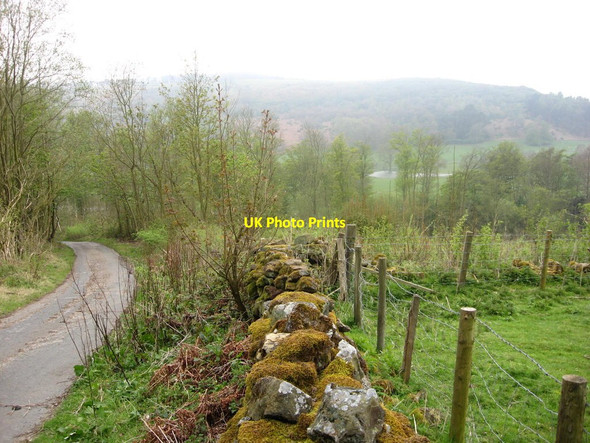 Photo 6"x4" Rag Robin Turn near Kepwick Hall Kepwick c2012