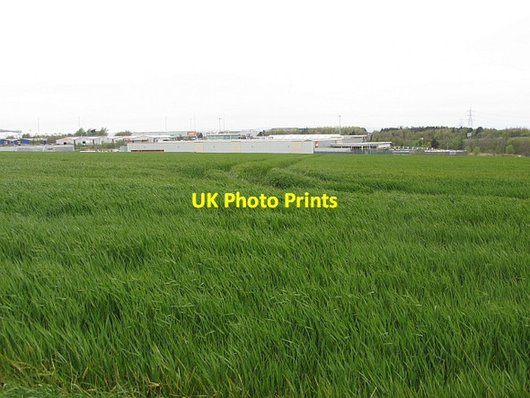 Photo 6"x4" Winter cereals, Whitehill Mains Brunstane\/NT3172 c2012