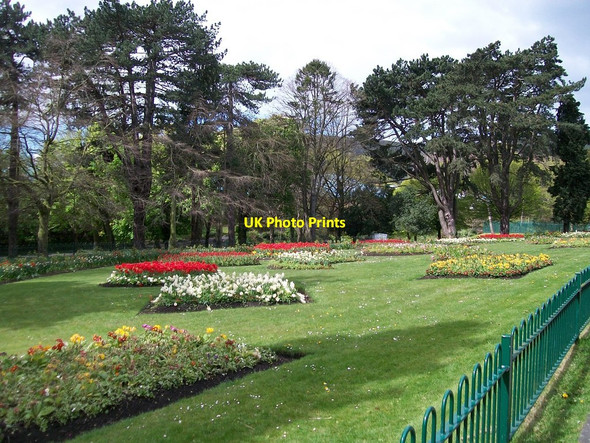 Photo 6"x4" Floral displays at Falls Park Belfast c2012