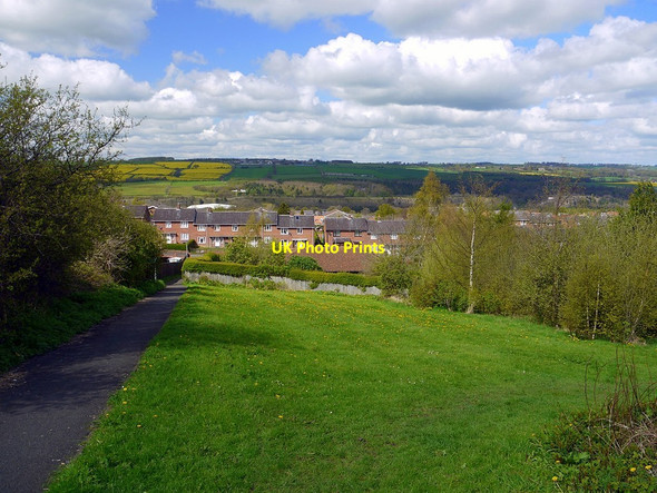 Photo 6"x4" Path from Stonyflat Bank, Prudhoe to Adderlane Road, West Wylam Prudhoe c2012