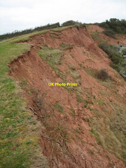 Photo 6"x4" Unstable cliff Budleigh Salterton c2012