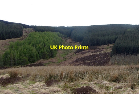 Photo 6"x4" A tongue of larches Cnoc nan Gabhar\/NR6614 c2012