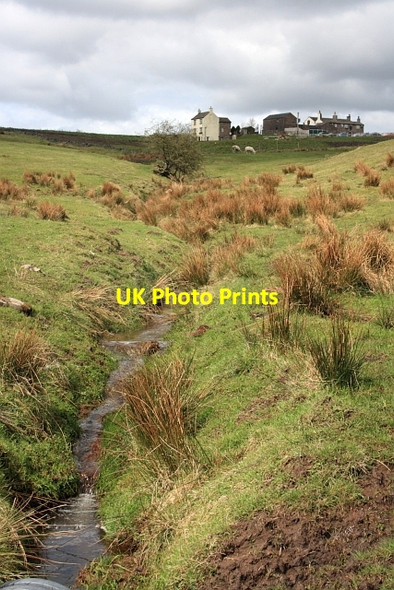Photo 6"x4" Head of the River Manifold Colshaw c2012