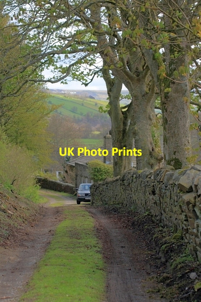 Photo 6"x4" Track to Low Row Low Row\/SD9897 c2012