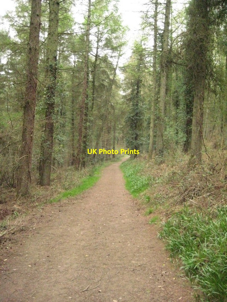 Photo 6"x4" The coast path on High Peak Sidmouth c2012