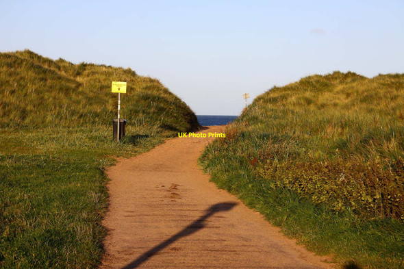 Photo 6"x4" Path to the beach South Beach\/NZ3279 c2011