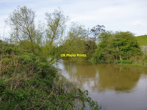 Photo 6"x4" The River Mole, west of Island Barn Reservoir East Molesey c2012