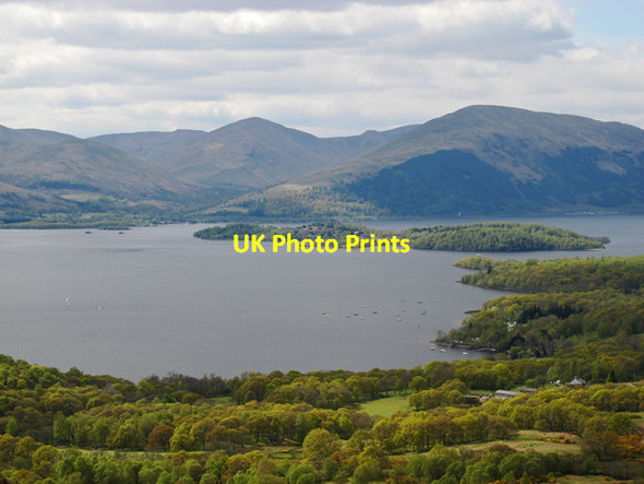 Photo 6"x4" Loch Lomond and Inchlonaig Balmaha c2012