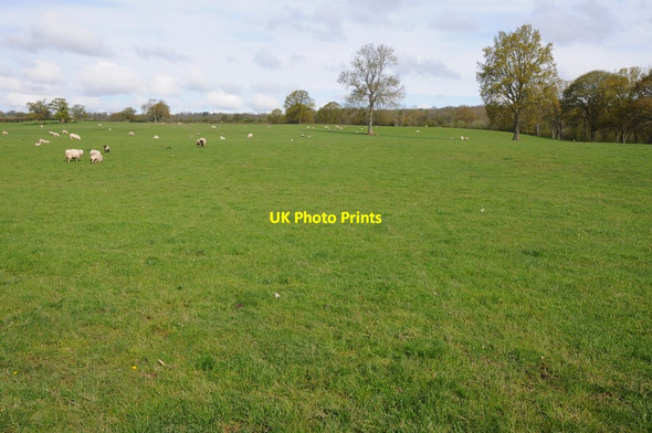 Photo 6"x4" Grazing land near Cwmma Moor Lower Welson c2012