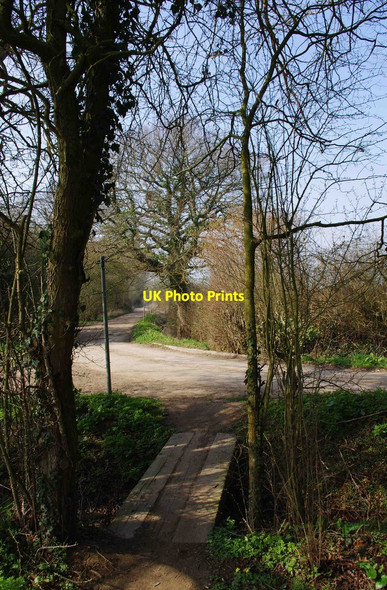 Photo 6"x4" Walking the plank, near Lechlade on Thames Lechlade on Thames c2012