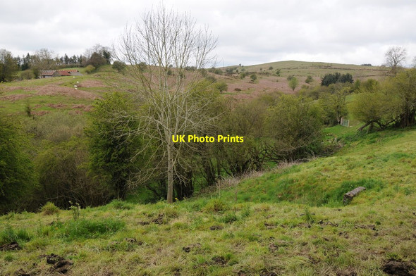 Photo 6"x4" View to Disgwylfa Hill Michaelchurch-on-Arrow c2012