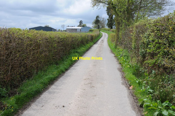 Photo 6"x4" Road to Lodge Farm, Huntington Huntington\/SO2553 c2012