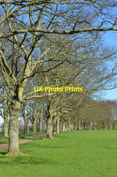 Photo 6"x4" Victoria Park Leicester c2012 P1