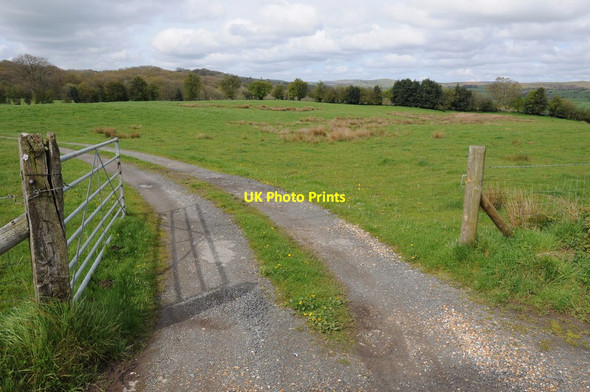 Photo 6"x4" Entrance to Great Birches Farm Michaelchurch-on-Arrow c2012