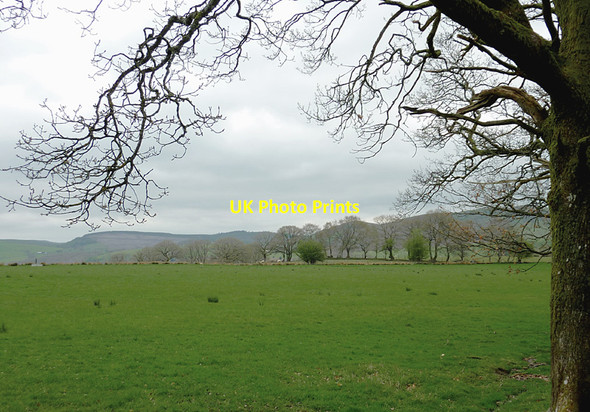 Photo 6"x4" Pasture north-east of Beulah, Powys Troedrhiwdalar c2012