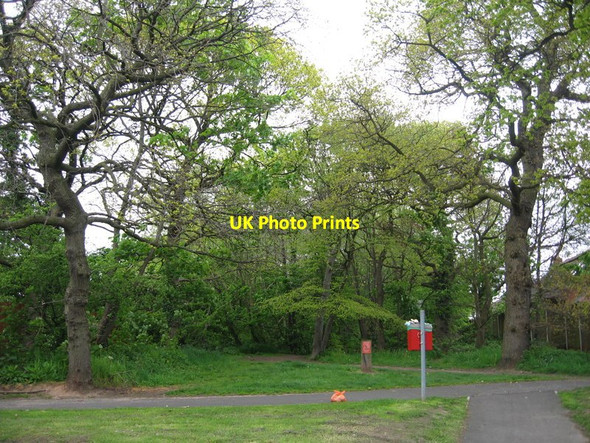 Photo 6"x4" Woodland, Willowdale Way Backford Cross c2012
