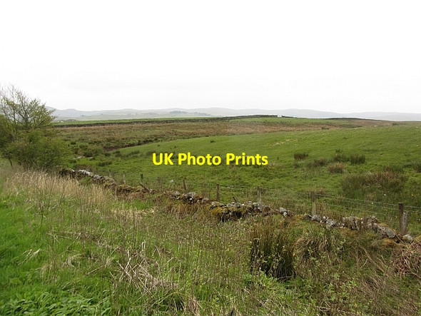 Photo 6"x4" Wet pasture near Tebay Old Tebay c2012