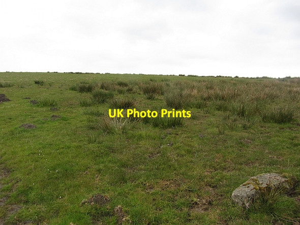 Photo 6"x4" Damp pasture near Tebay Old Tebay c2012