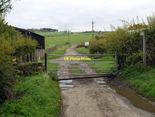 Photo 6"x4" Track south of Dukeshagg Farm Prudhoe c2012