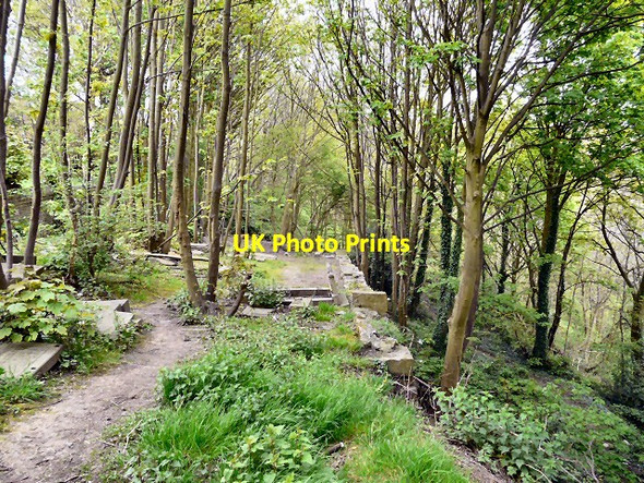 Photo 6"x4" St George's burial ground Hyde\/SJ9494 c2012