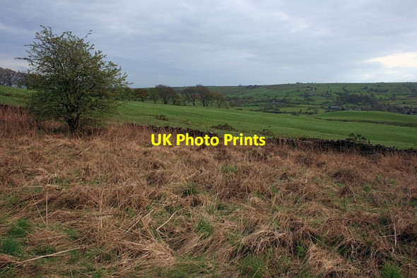 Photo 6"x4" Fields in the Hamps valley Onecote c2012