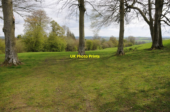 Photo 6"x4" Trees and farmland Huntington\/SO2553 c2012