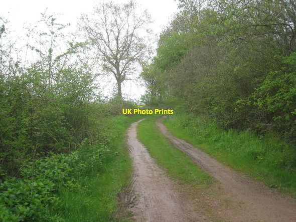 Photo 6"x4" Track alongside Pudding Poke Wood Belle Eau Park c2012