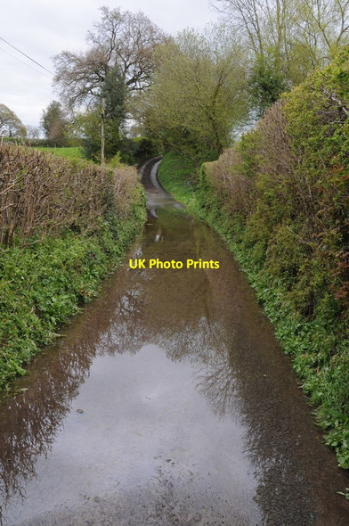 Photo 6"x4" Standing water on a country road Chickward c2012