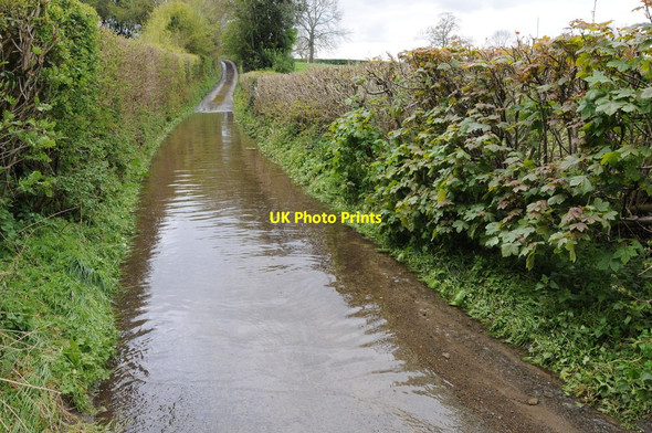 Photo 6"x4" Water on the road Chickward c2012