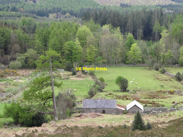 Photo 6"x4" Former shepherd's cottage on the edge of the Mournes Newcastle\/J3732 c2012