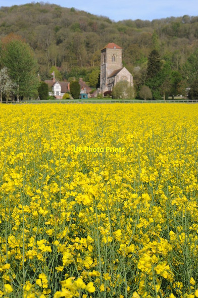 Photo 6"x4" Little Malvern Priory and oilseed rape Upper Welland c2012