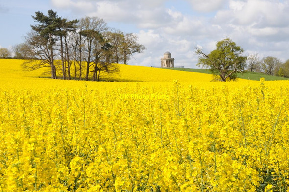 Photo 6"x4" The Panorama Tower and oilseed rape field Severn Stoke c2012