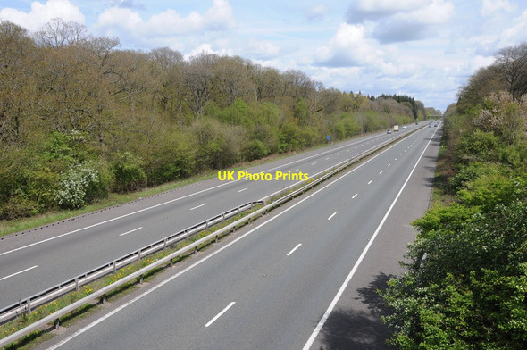 Photo 6"x4" The M50, Oxenhall Wood Shaw Common c2012