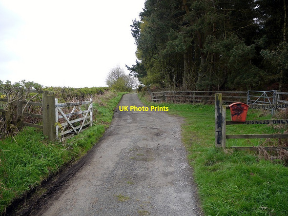 Photo 6"x4" Access track to Buck's Nook Farm Prudhoe c2012