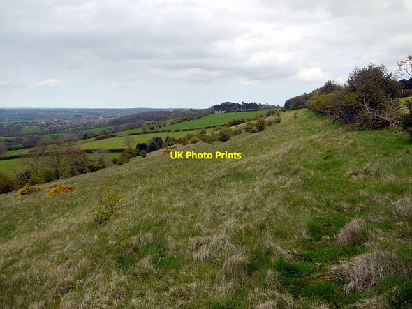 Photo 6"x4" Hill slope near West Kyo Prudhoe c2012